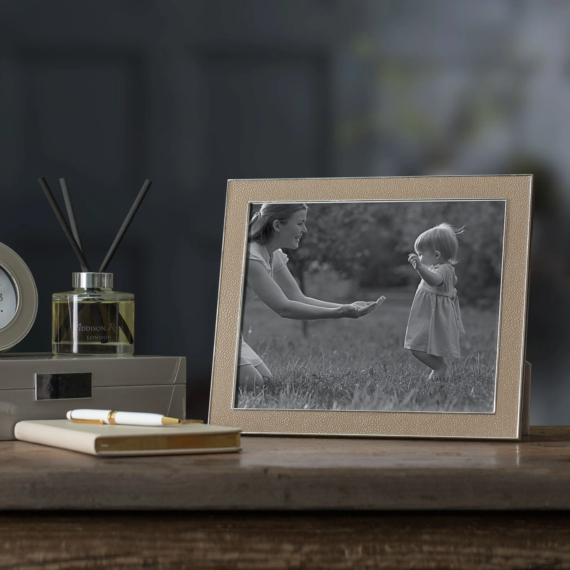 Sand Shagreen & Silver Frame - Image 4
